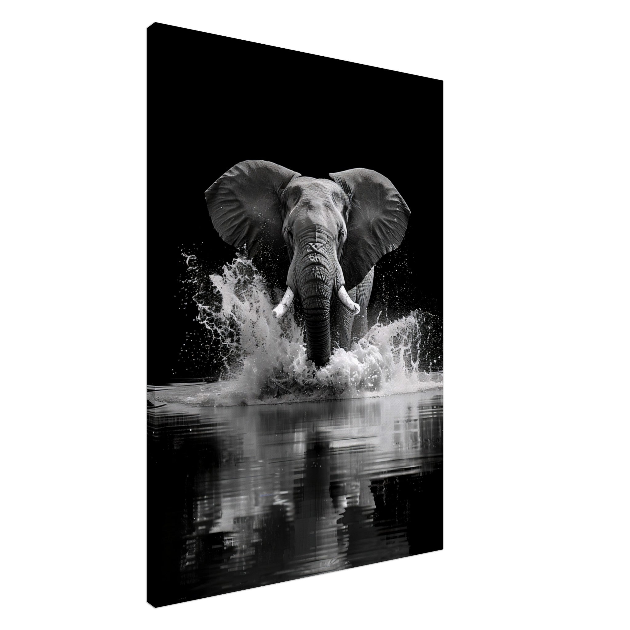 Black and White Elephant Painting